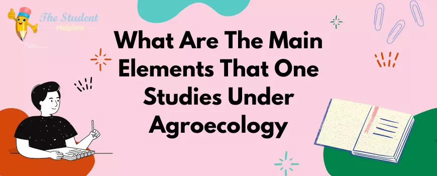 What Are The Main Elements That One Studies Under Agroecology